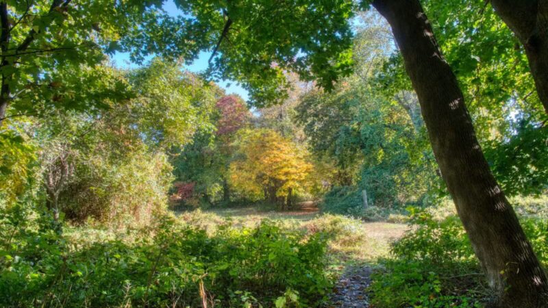 Ward Acres Park - New Rochelle, NY