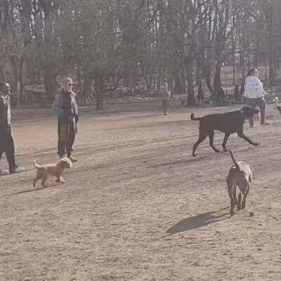 Ward Acres Park - New Rochelle, NY