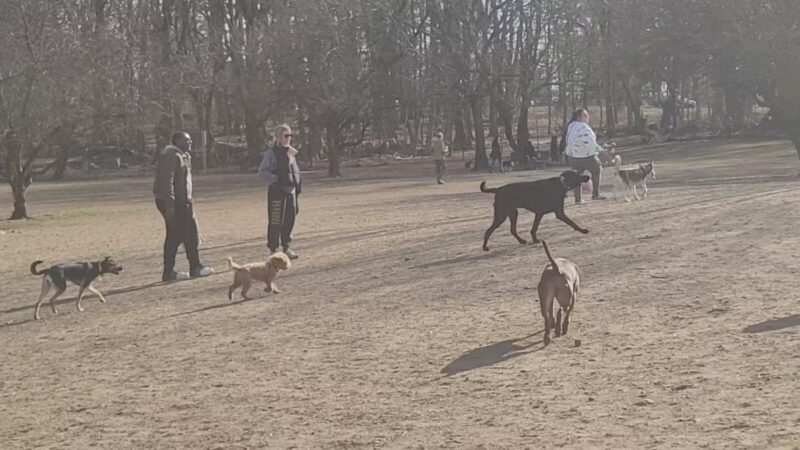 Ward Acres Park - New Rochelle, NY