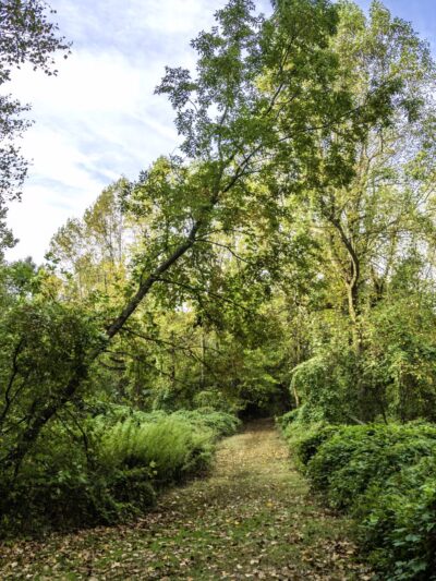 Ward Acres Park - New Rochelle, NY