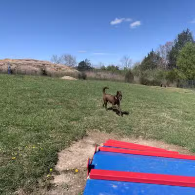 Boyd Foundation Dog Park - New Tazewell, TN
