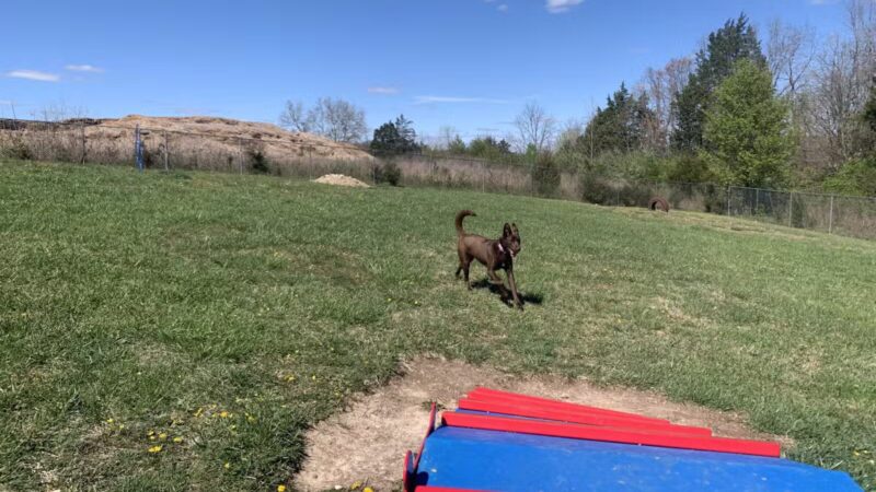 Boyd Foundation Dog Park - New Tazewell, TN