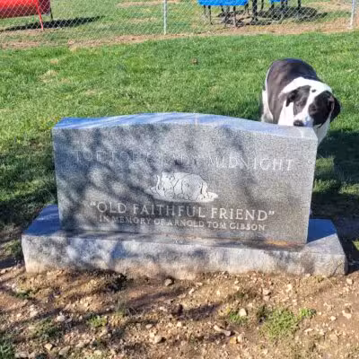 Boyd Foundation Dog Park - New Tazewell, TN