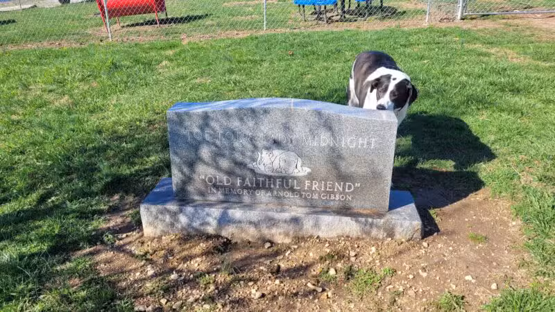 Boyd Foundation Dog Park - New Tazewell, TN