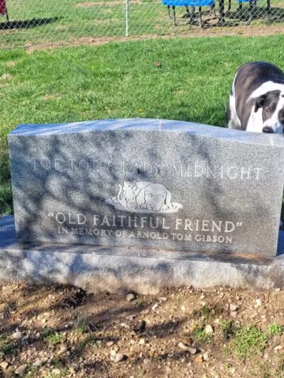 Boyd Foundation Dog Park - New Tazewell, TN