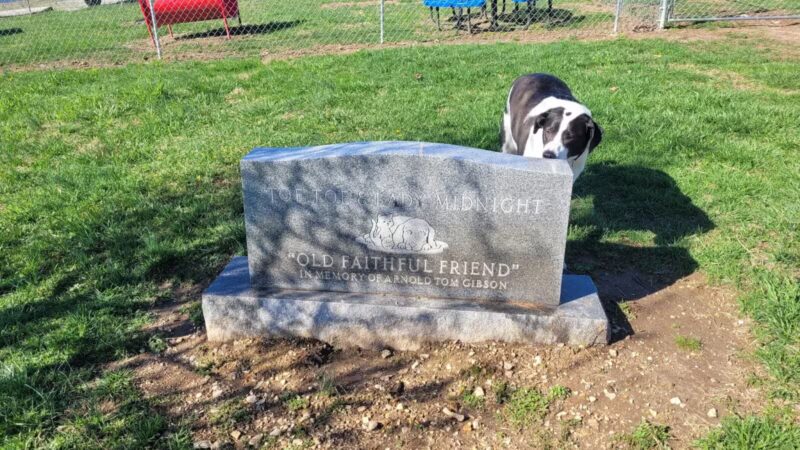 Boyd Foundation Dog Park - New Tazewell, TN