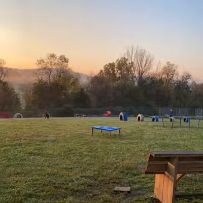 Boyd Foundation Dog Park - New Tazewell, TN