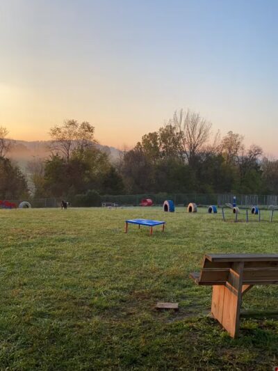 Boyd Foundation Dog Park - New Tazewell, TN