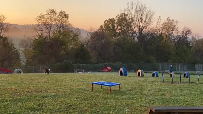 Boyd Foundation Dog Park - New Tazewell, TN