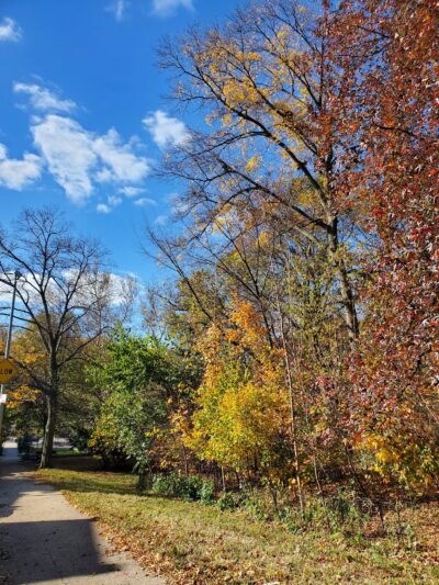 Dyckman Fields - New York, NY