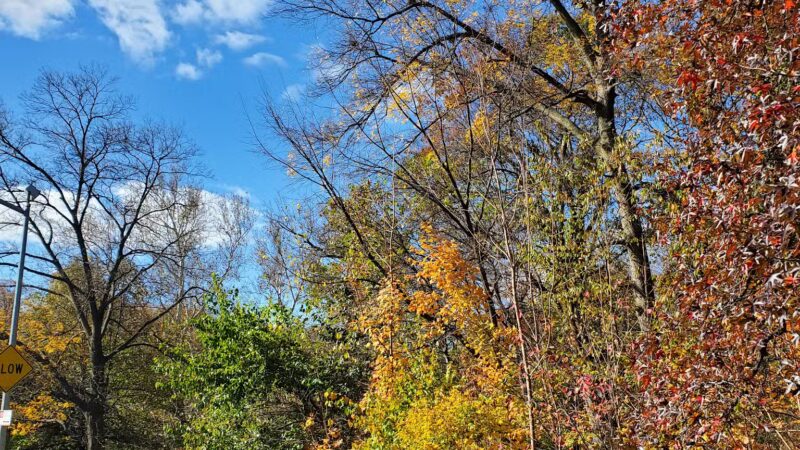 Dyckman Fields - New York, NY