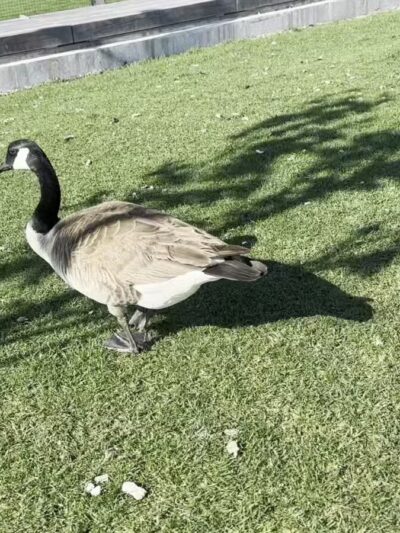 Gansevoort Beach - New York, NY