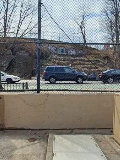 Highbridge Park Dog Run - New York, NY