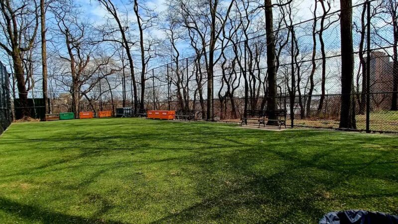Highbridge Park Dog Run - New York, NY
