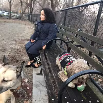Highbridge Park Dog Run - New York, NY