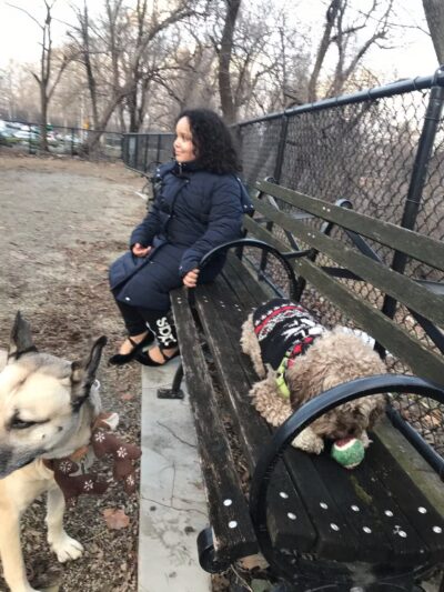 Highbridge Park Dog Run - New York, NY