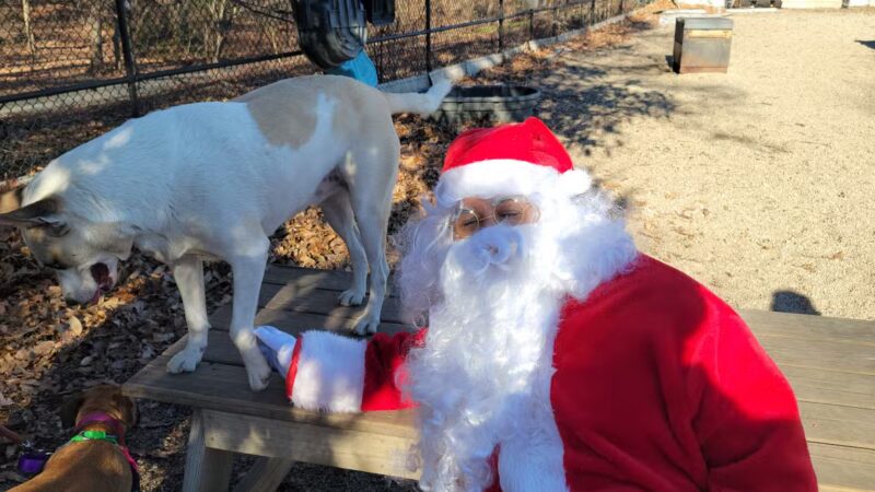 Homer's Run - New York, NY