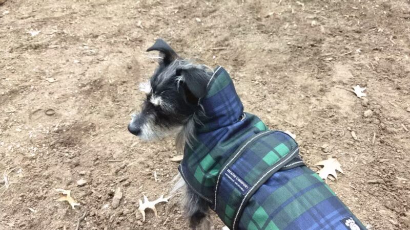 Homer's Run - New York, NY