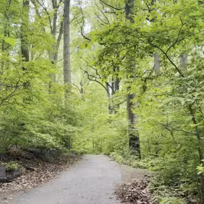 Overlook Meadow - New York, NY