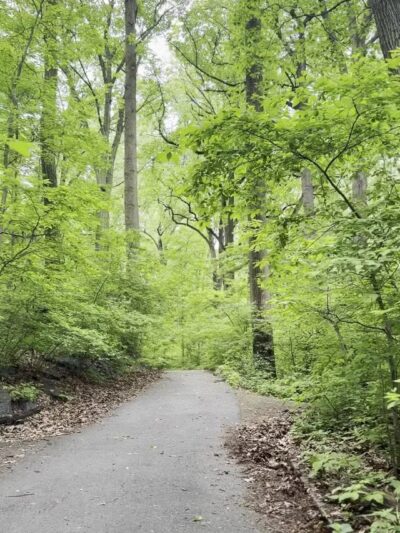 Overlook Meadow - New York, NY