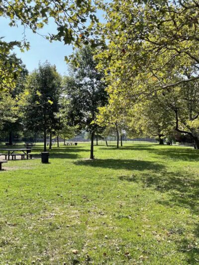 Overlook Meadow - New York, NY