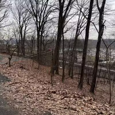 Overlook Meadow - New York, NY