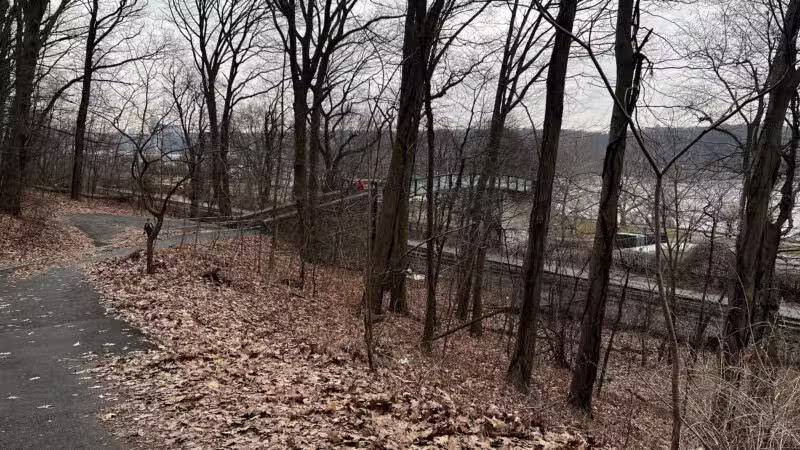Overlook Meadow - New York, NY