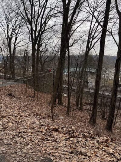 Overlook Meadow - New York, NY