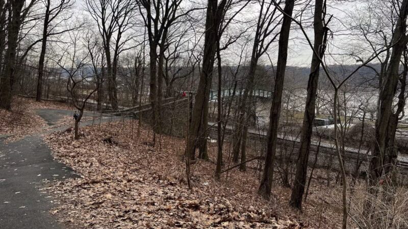 Overlook Meadow - New York, NY