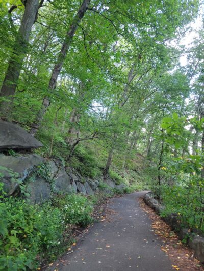 Overlook Meadow - New York, NY