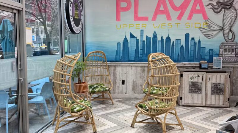 Playa Bowls - New York, NY