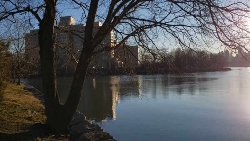 Randall's Island Park - New York, NY