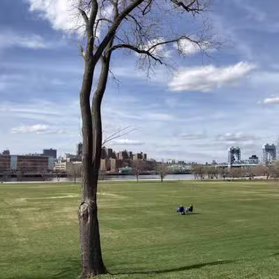Randall's Island Park - New York, NY