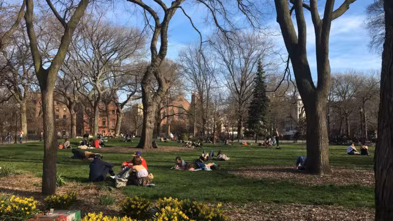 Tompkins Square Park - New York, NY