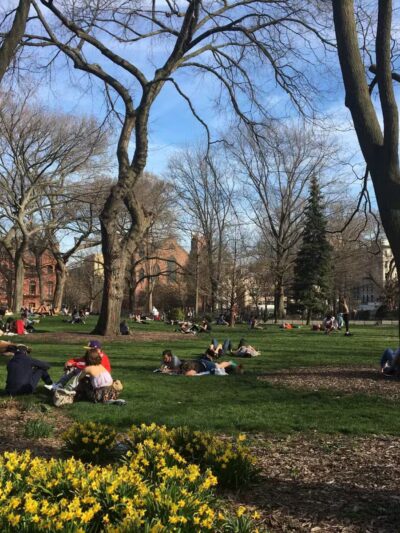 Tompkins Square Park - New York, NY