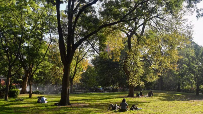 Tompkins Square Park - New York, NY