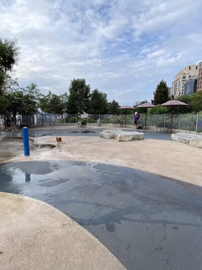 Tribeca Dog Run - New York, NY