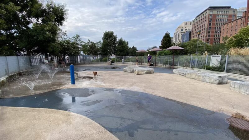 Tribeca Dog Run - New York, NY