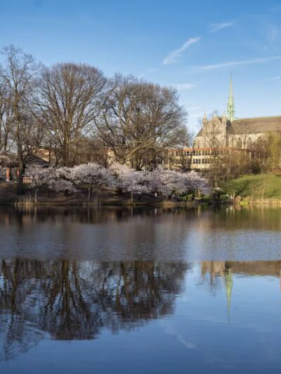 Branch Brook Park - Newark, NJ