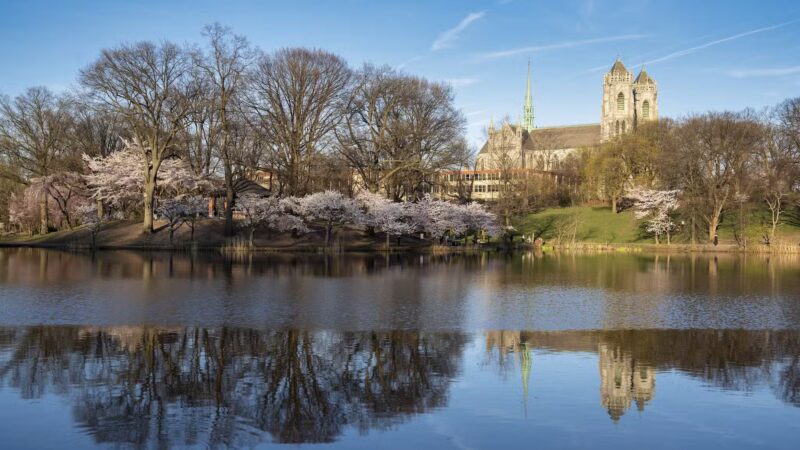 Branch Brook Park - Newark, NJ