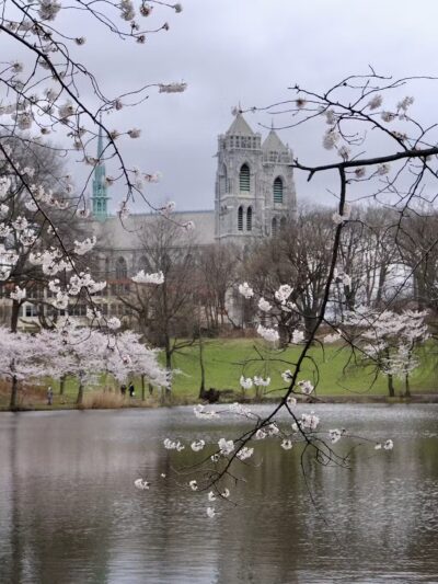 Branch Brook Park - Newark, NJ