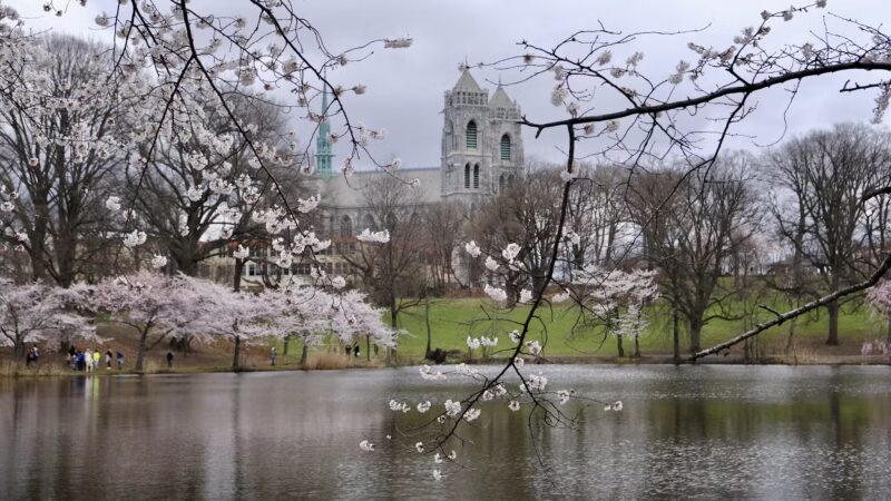 Branch Brook Park - Newark, NJ