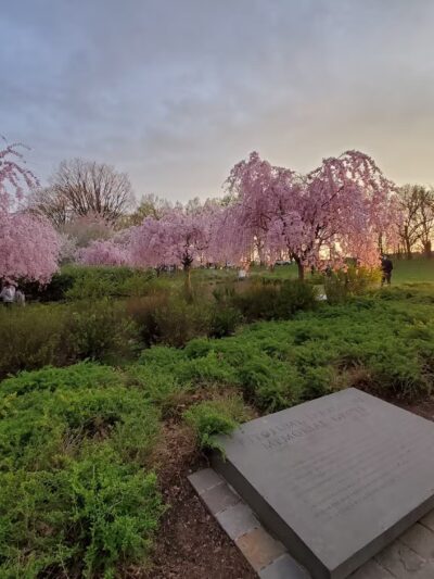 Branch Brook Park - Newark, NJ