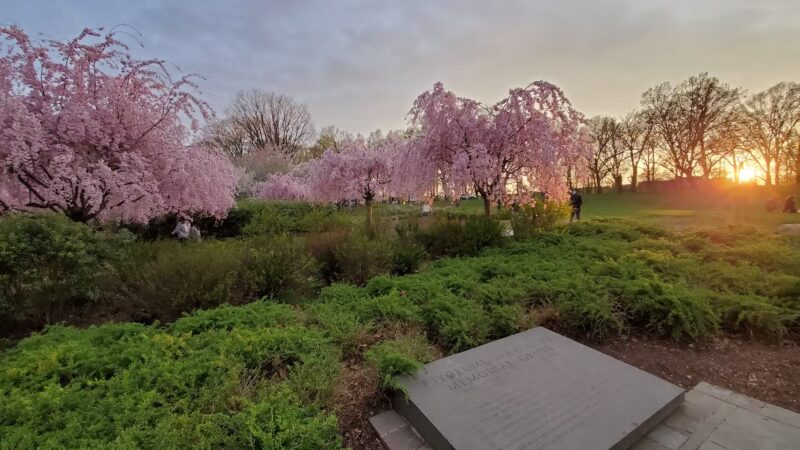Branch Brook Park - Newark, NJ