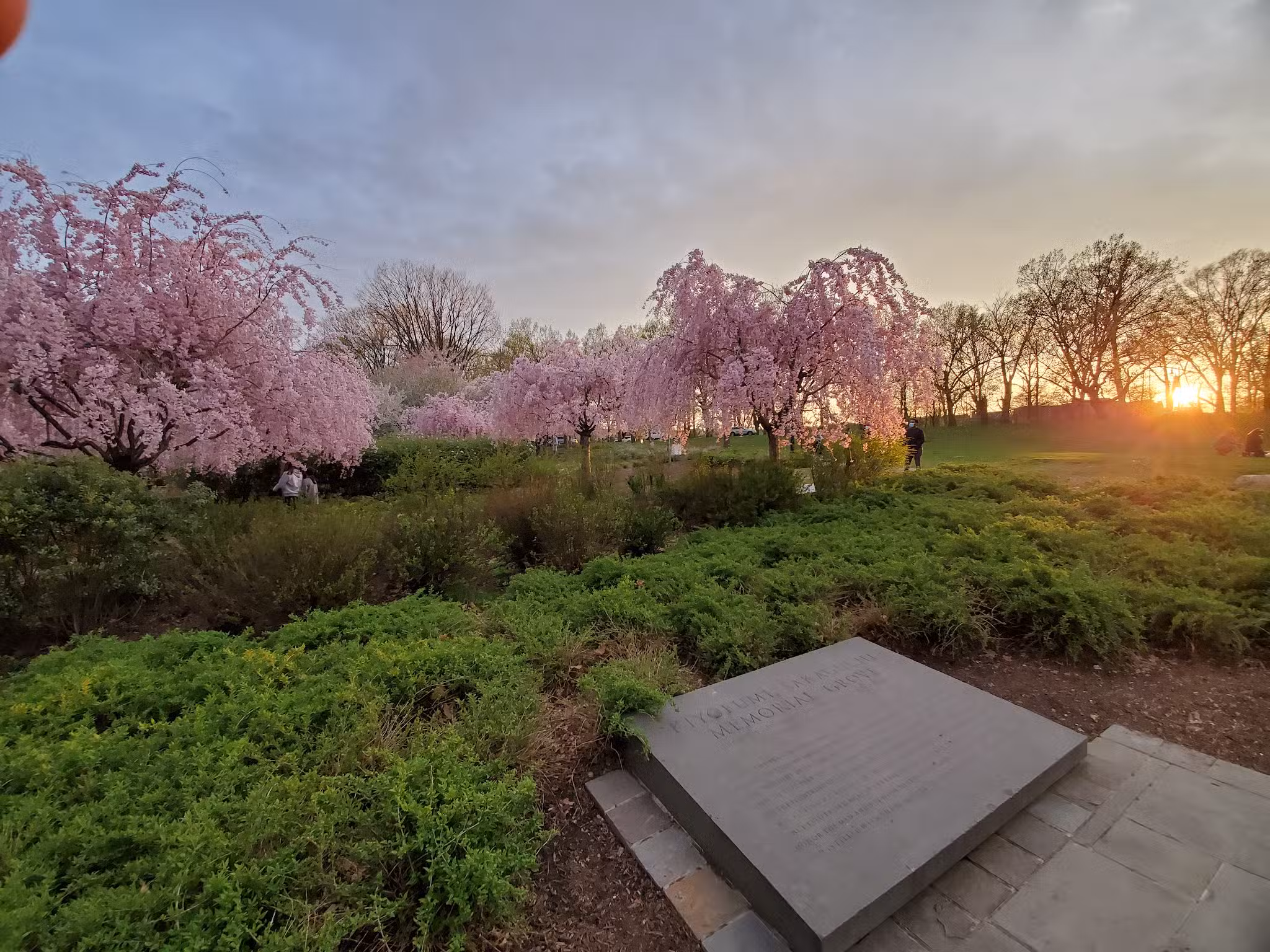 Branch Brook Park - Newark, NJ