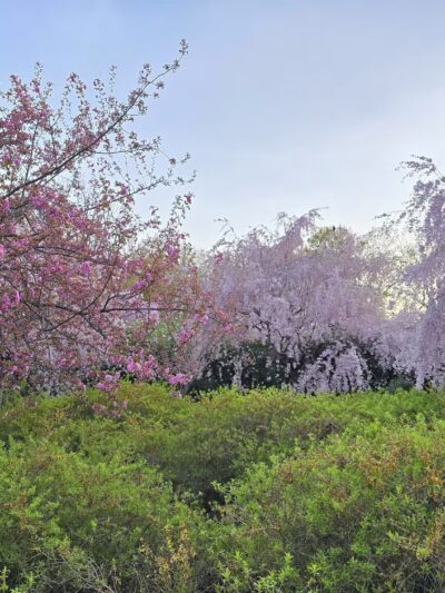 Branch Brook Park - Newark, NJ