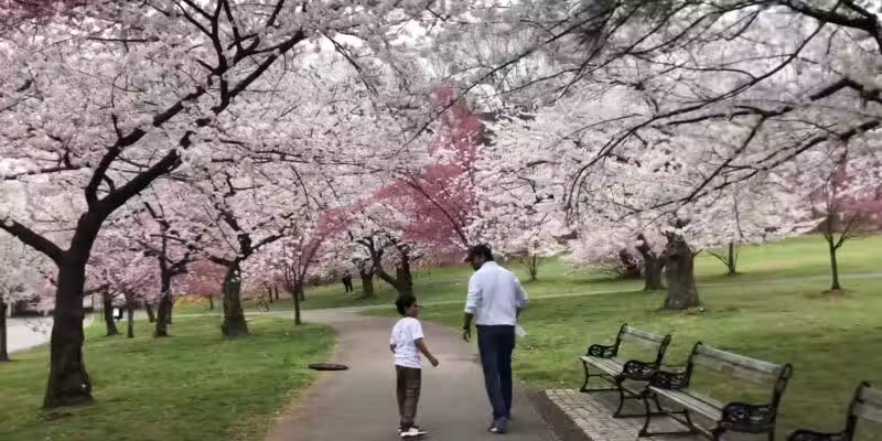 Branch Brook Park - Newark, NJ