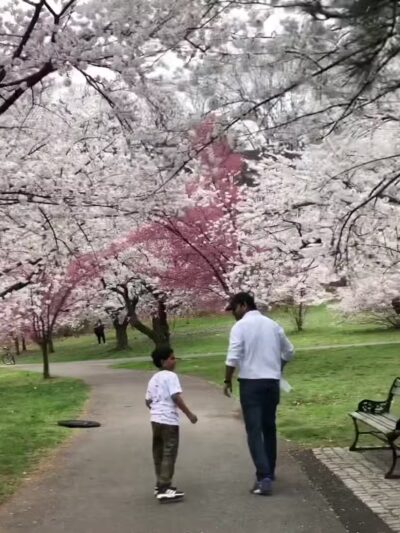 Branch Brook Park - Newark, NJ