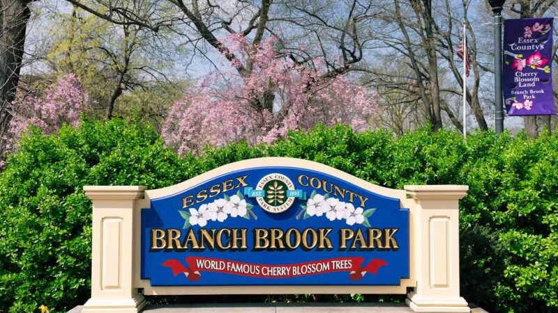 Branch Brook Park - Newark, NJ