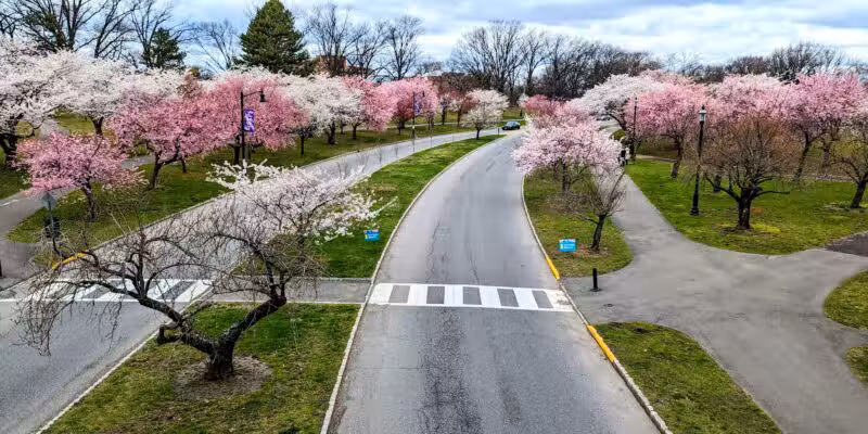 Branch Brook Park - Newark, NJ